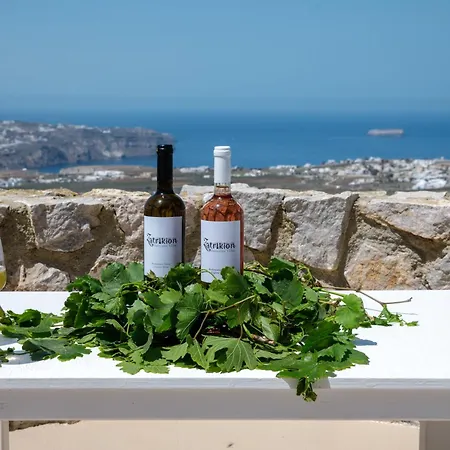 Zatrikion Santorini וילה